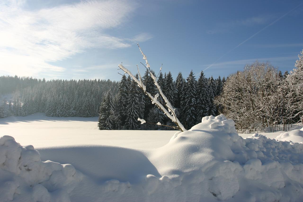 Jeleni Chata Skladanka Lucany nad Nisou Экстерьер фото